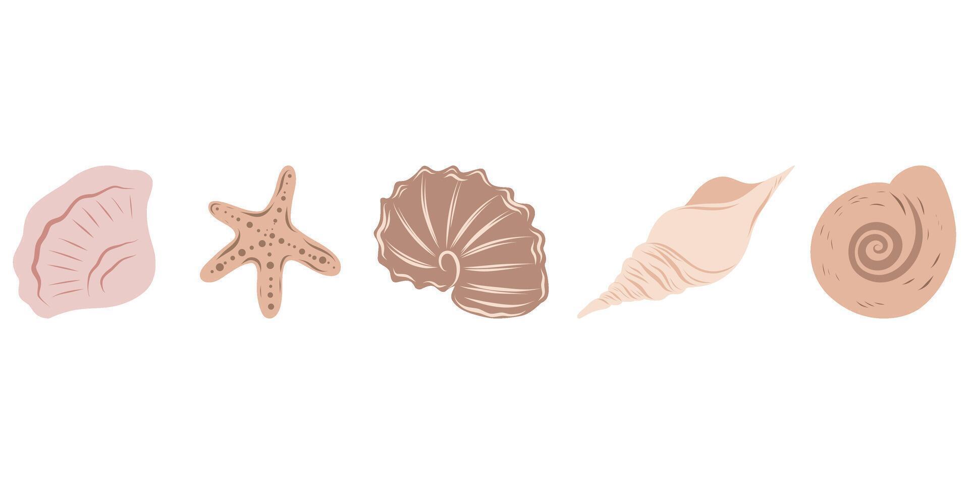 Seashells beige set, hand drawn seashells of different shapes. Underwater elements for cards, designs, invitations vector