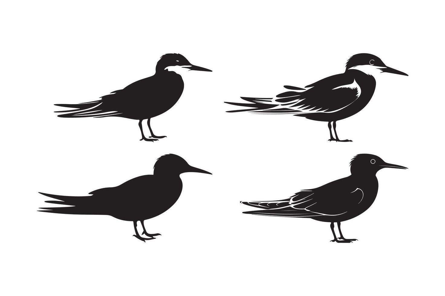 Bird Silhouette Set Elegant Flying and Standing Avian Illustrations vector