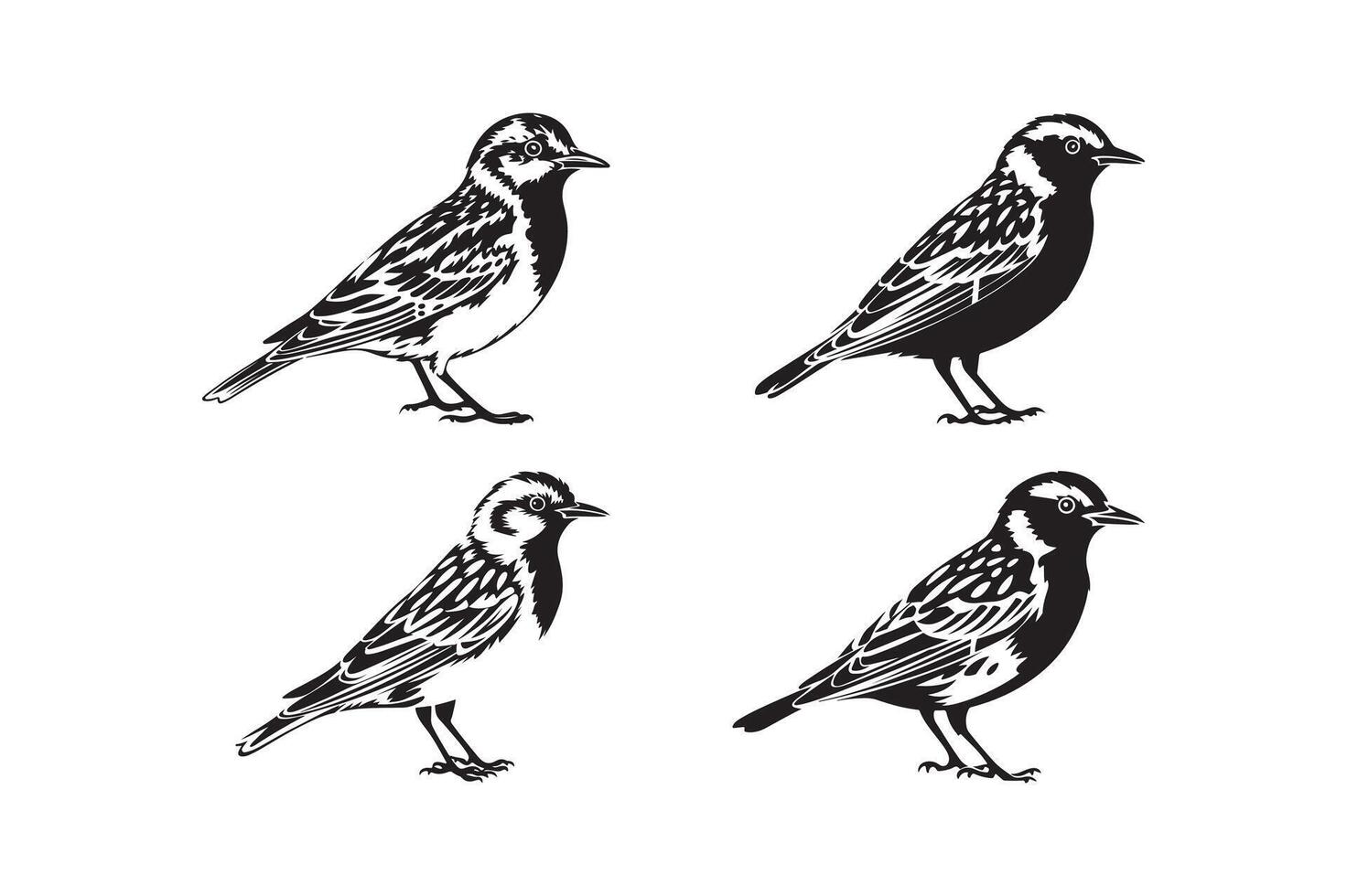 Bird Silhouette Illustration Black and White Sparrow Clipart Minimalist Bird Art Design vector