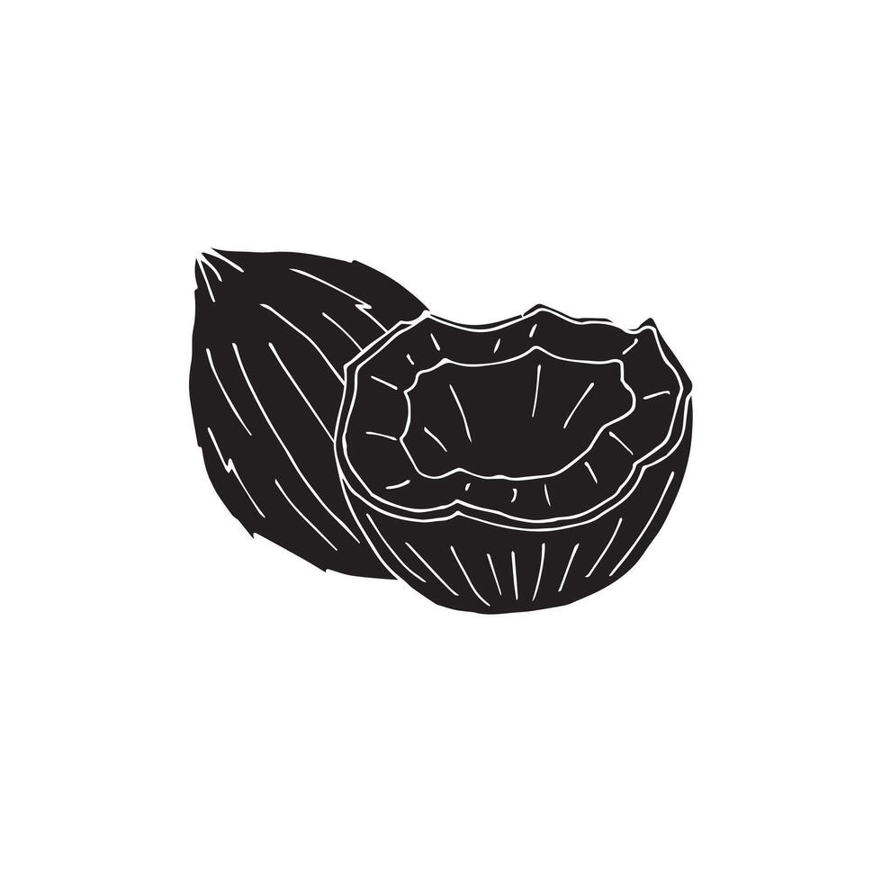 Hand drawn sketch coconut isolated on white background vector