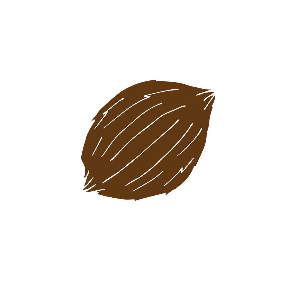 Hand drawn doodle sketch brown coconut isolated on white background vector