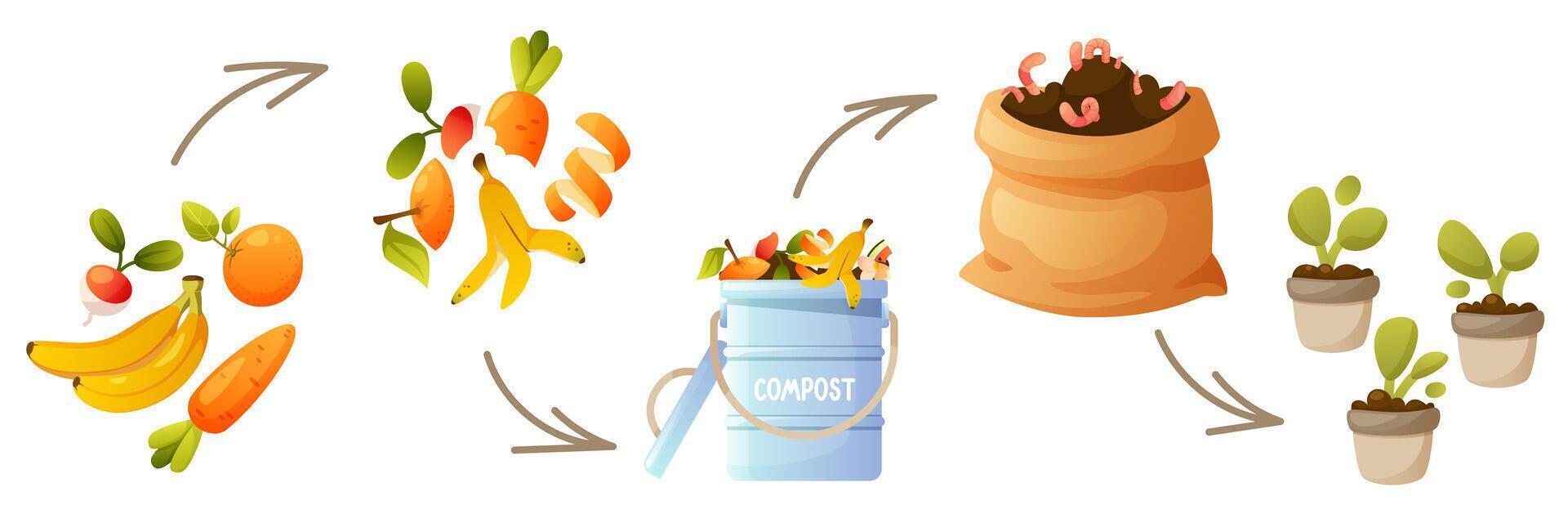 Compost life cycle diagram, infographics of composting processes. Process, stages of organic waste recycling, from collecting kitchen waste to using compost in agriculture, gardening. Zero waste. vector