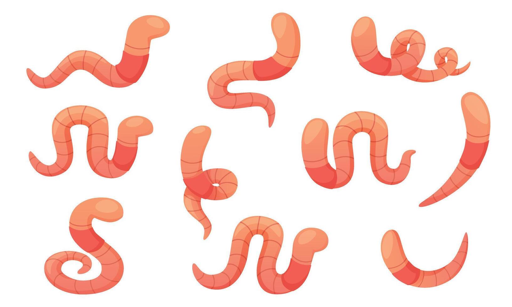 set of cartoon worms in different poses. Crawling pink earthworm. Garden worm of different shapes, different types of movement, twisted, wrapped, useful insect. vector