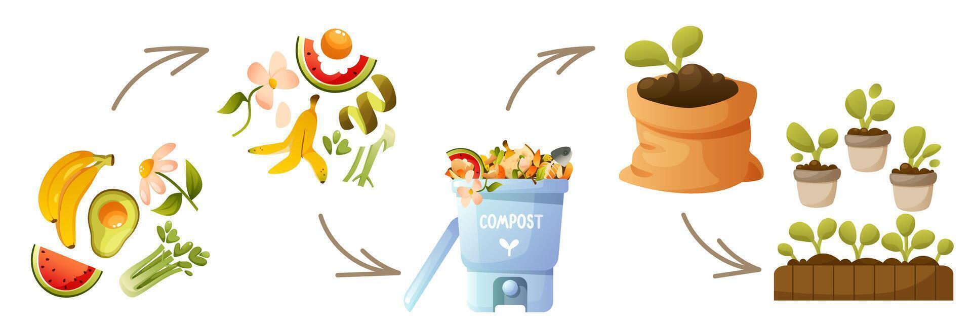 Compost life cycle diagram, infographics of composting processes. Process, stages of organic waste recycling, from collecting kitchen waste to using compost in agriculture. Zero waste. vector