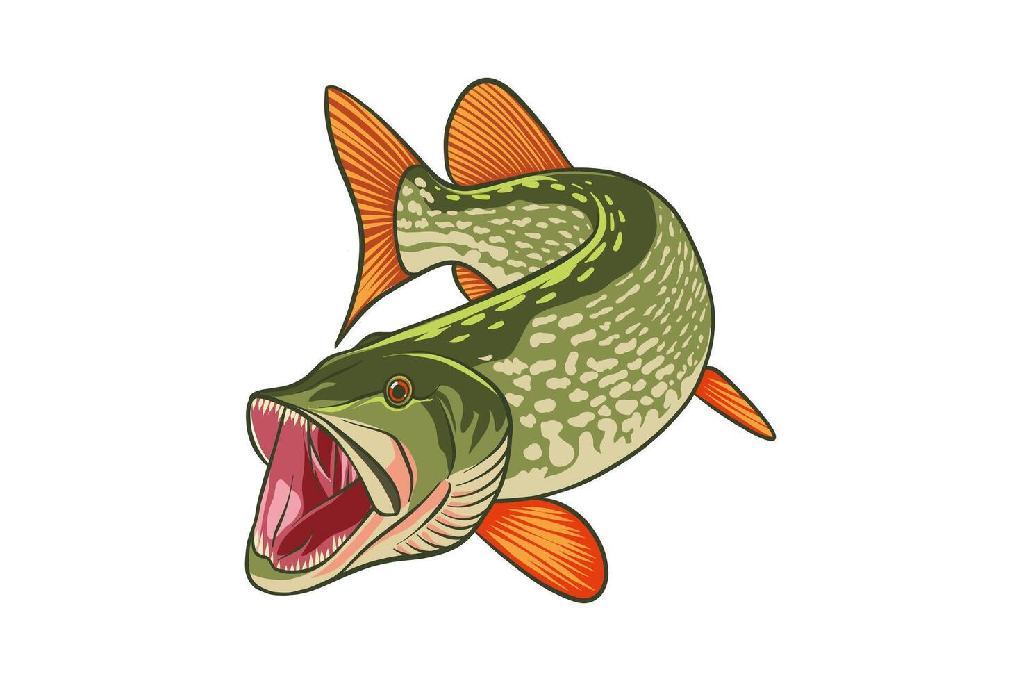 hand drawn pike fish illustration vector