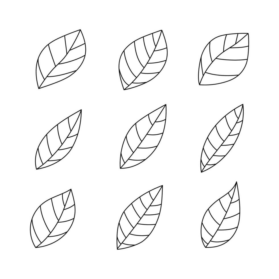 Set of leaves icon shape isolated flat style. vector