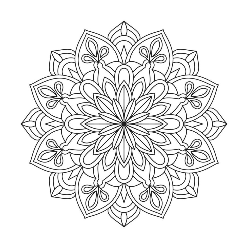 Hand Drawn Floral Mandala Frame Circle Frame Isolated design vector