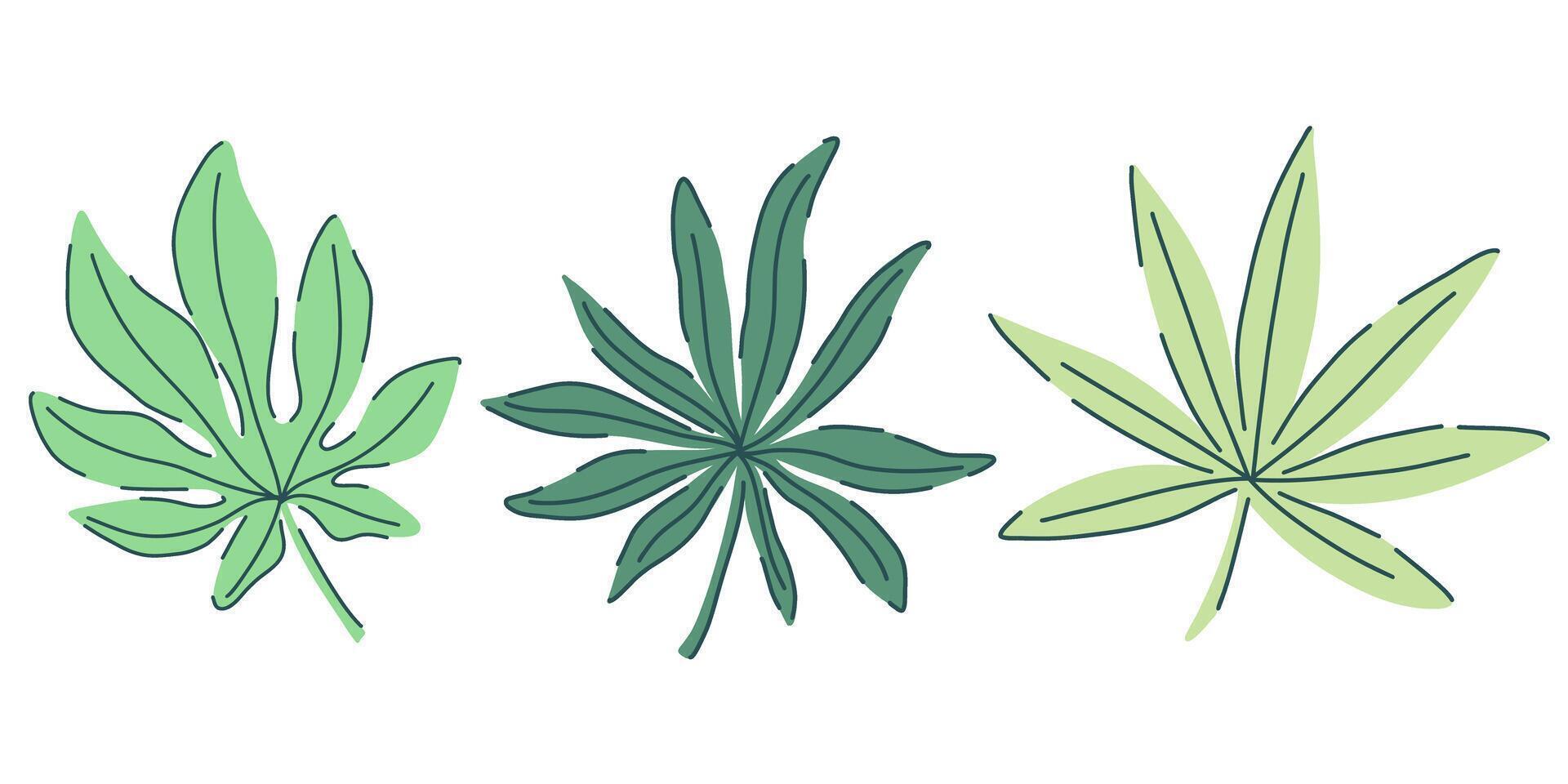 Hand drawn tropical leaves set with three stylized palm leaves in various shades of green. Minimalist flat illustration style. Ideal for eco-friendly decor, digital design, textile, cards, posters vector