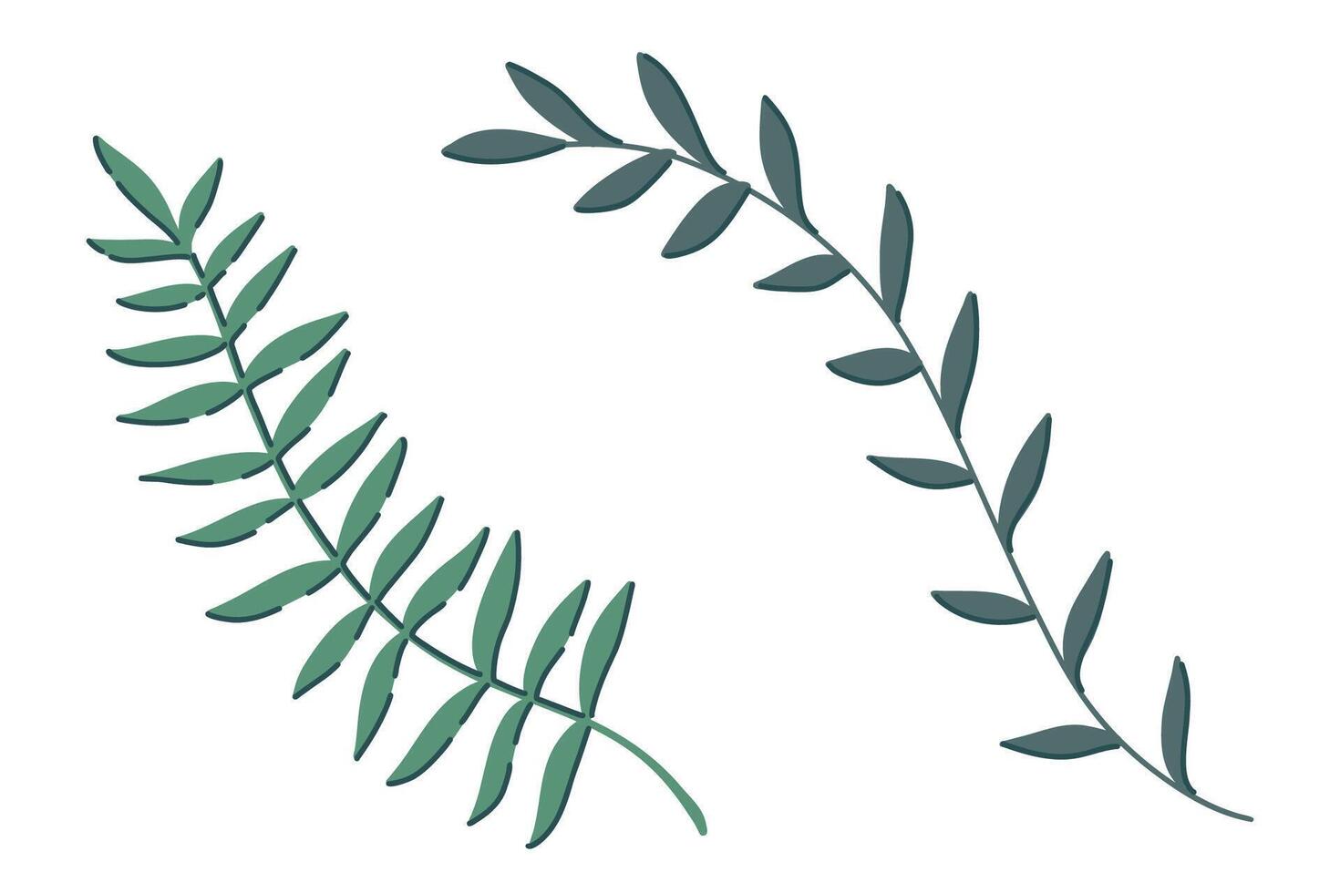 Hand drawn tropical leaves set including two elegant green branches with thin leaves. Minimalist flat style. Suitable for eco-friendly decor, posters, textile design, digital art, cards, and patterns vector