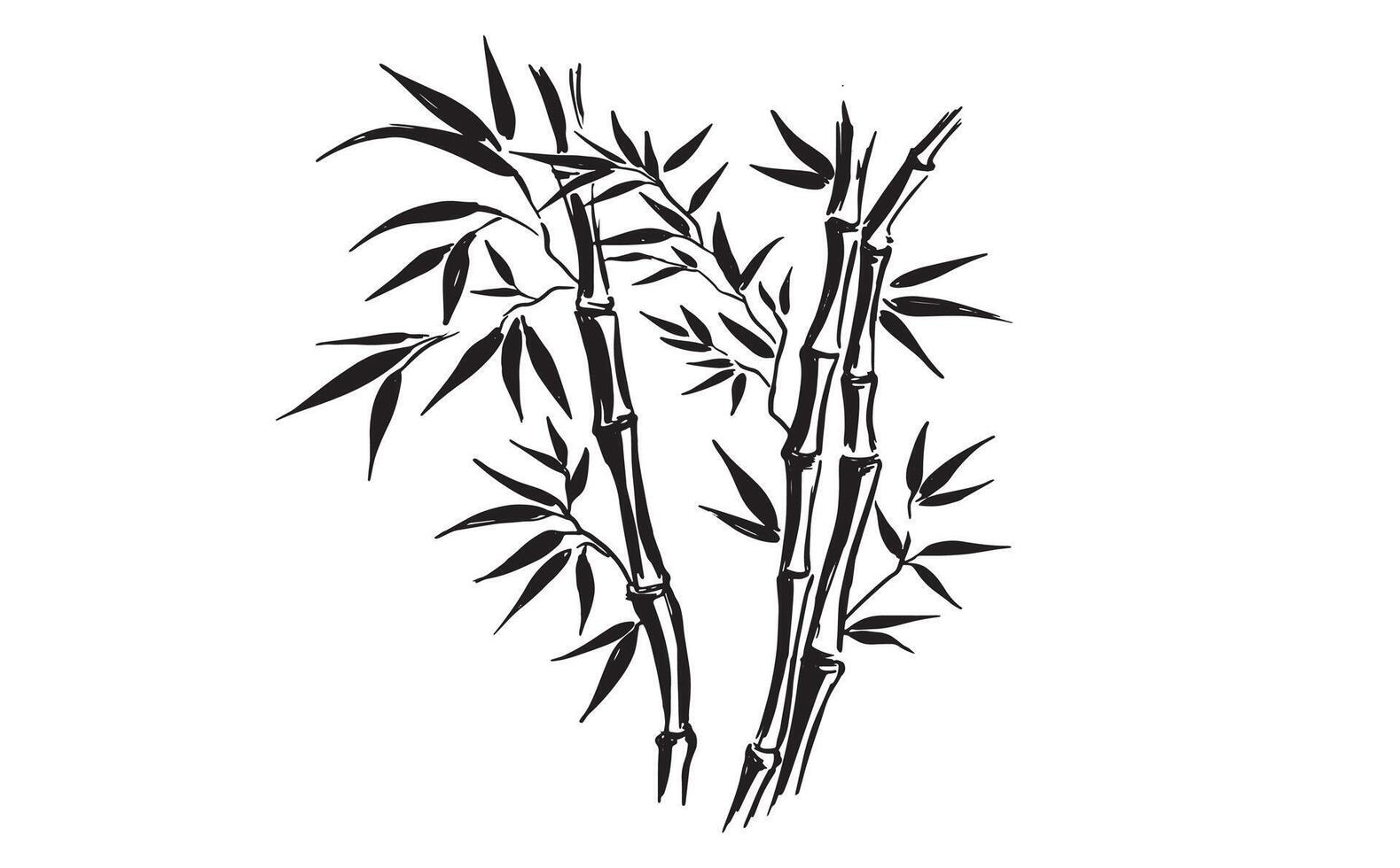 Black Bamboo tree on white, Hand drawn style. vector