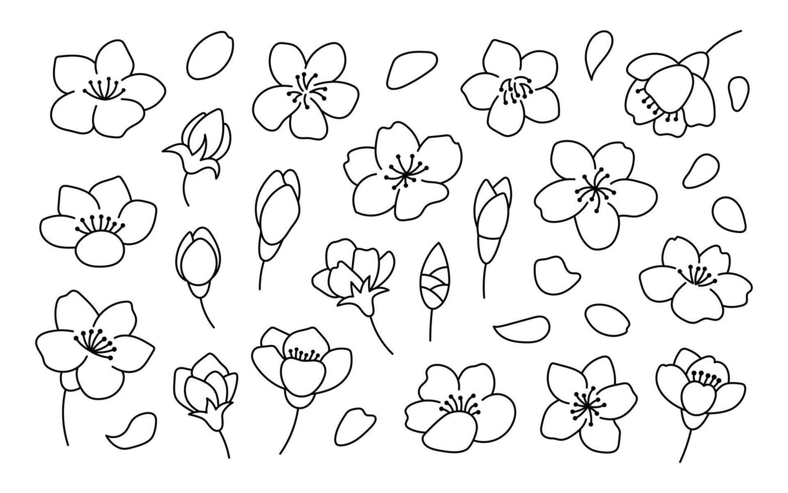 Cherry blossom flowers set. Outline illustration. Doodle style. Hand drawn cherry flowers Isolate on white. Sakura collection. Line art vector