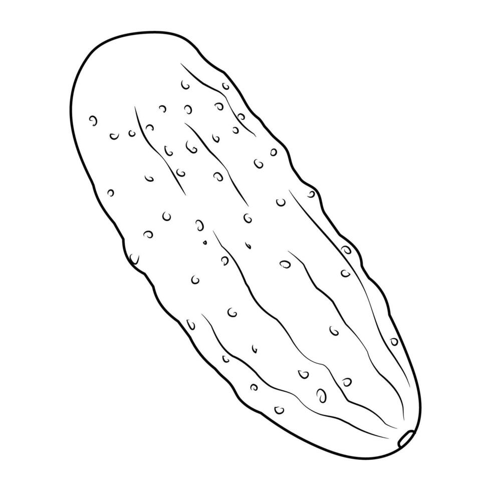 Cucumber in contour, in the style of line art. A healthy vegetarian dish. Illustrations for packaging, labels, menus, signage. Ingredients for vegetable salad. vector