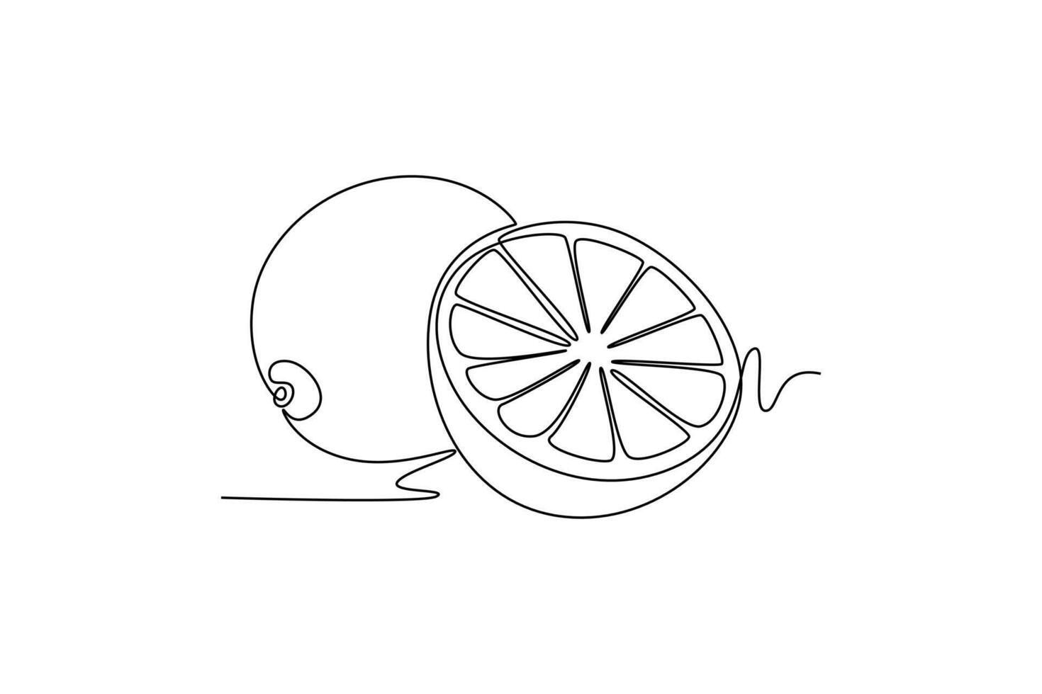 Lime. Fruits concept. Single line draw design. graphic illustration vector