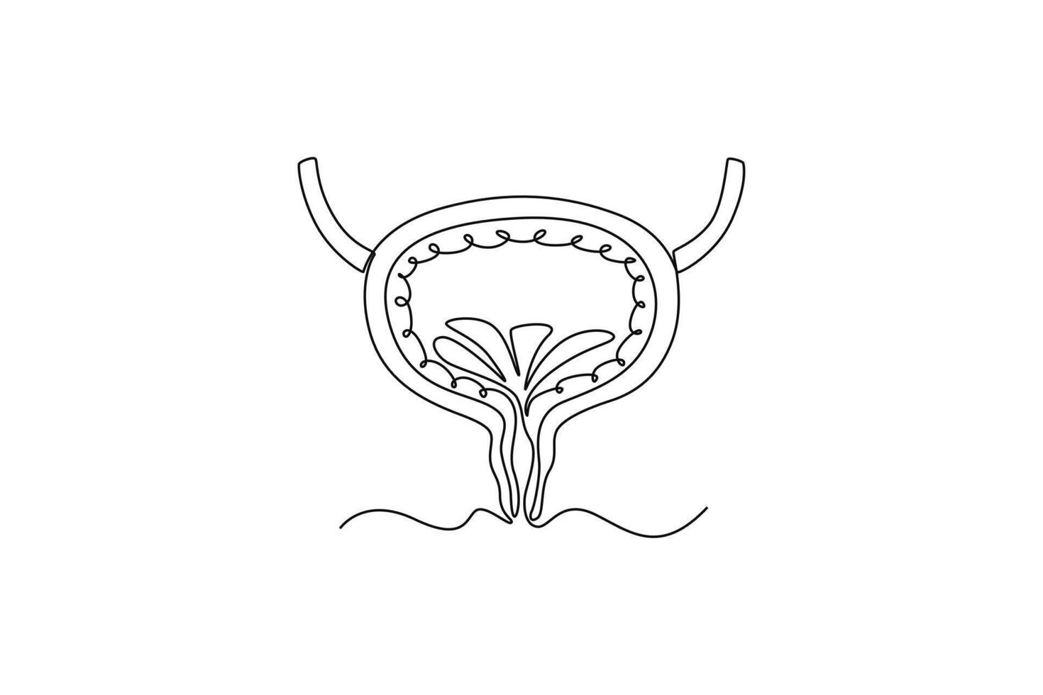 bladder. parts of the body concept. Single line draw design. graphic illustration vector