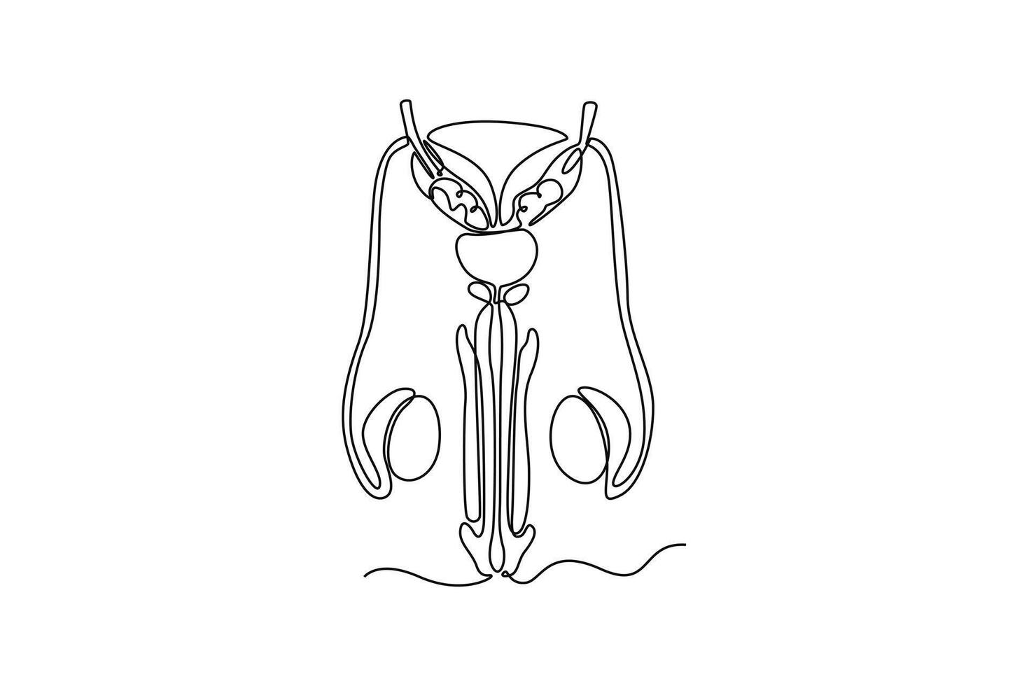 Male organs penis. parts of the body concept. Single line draw design. graphic illustration vector