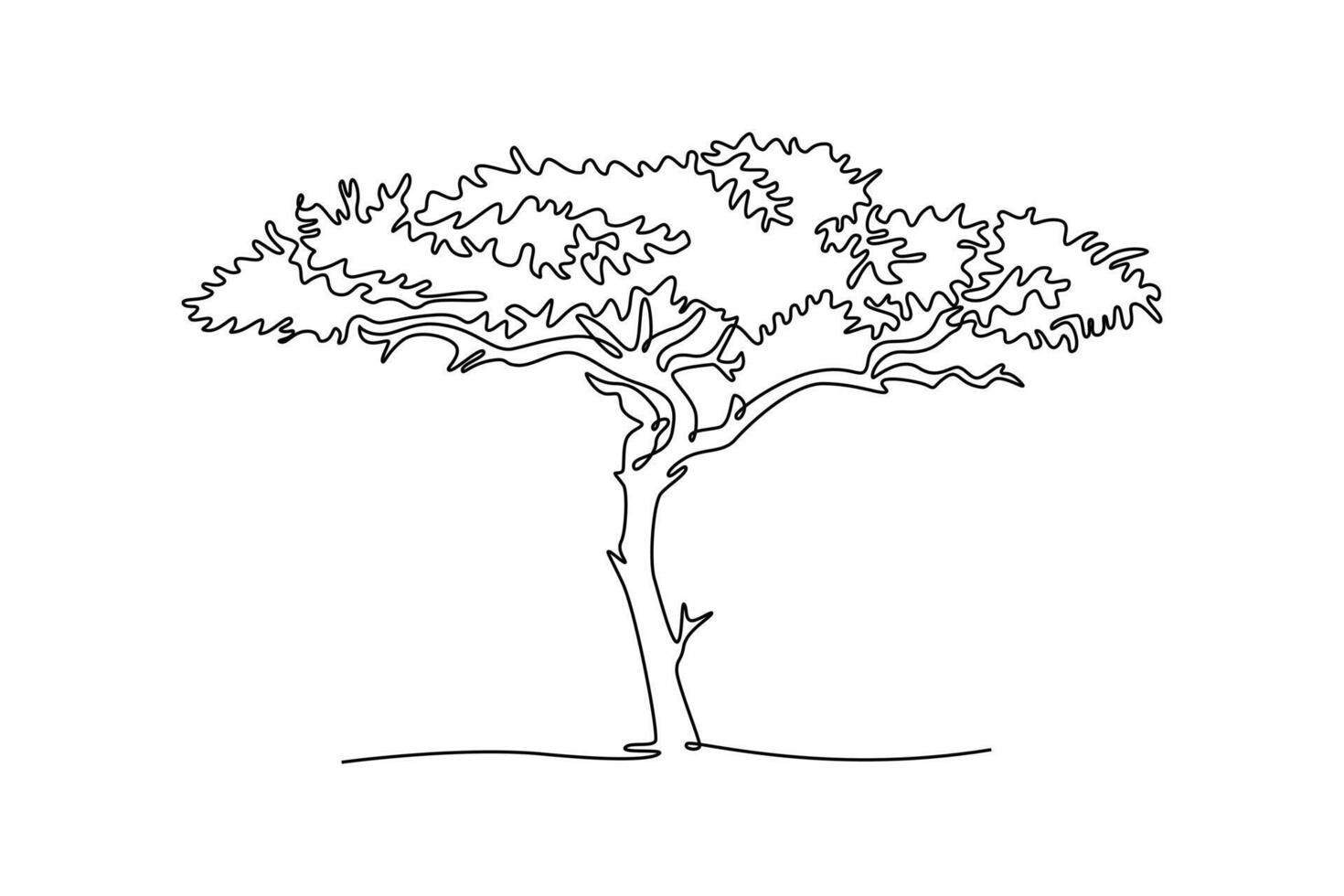 Umbrella thorn acacia. Acacia tortilis. Tree and flower concept. Single line draw design. graphic illustration vector