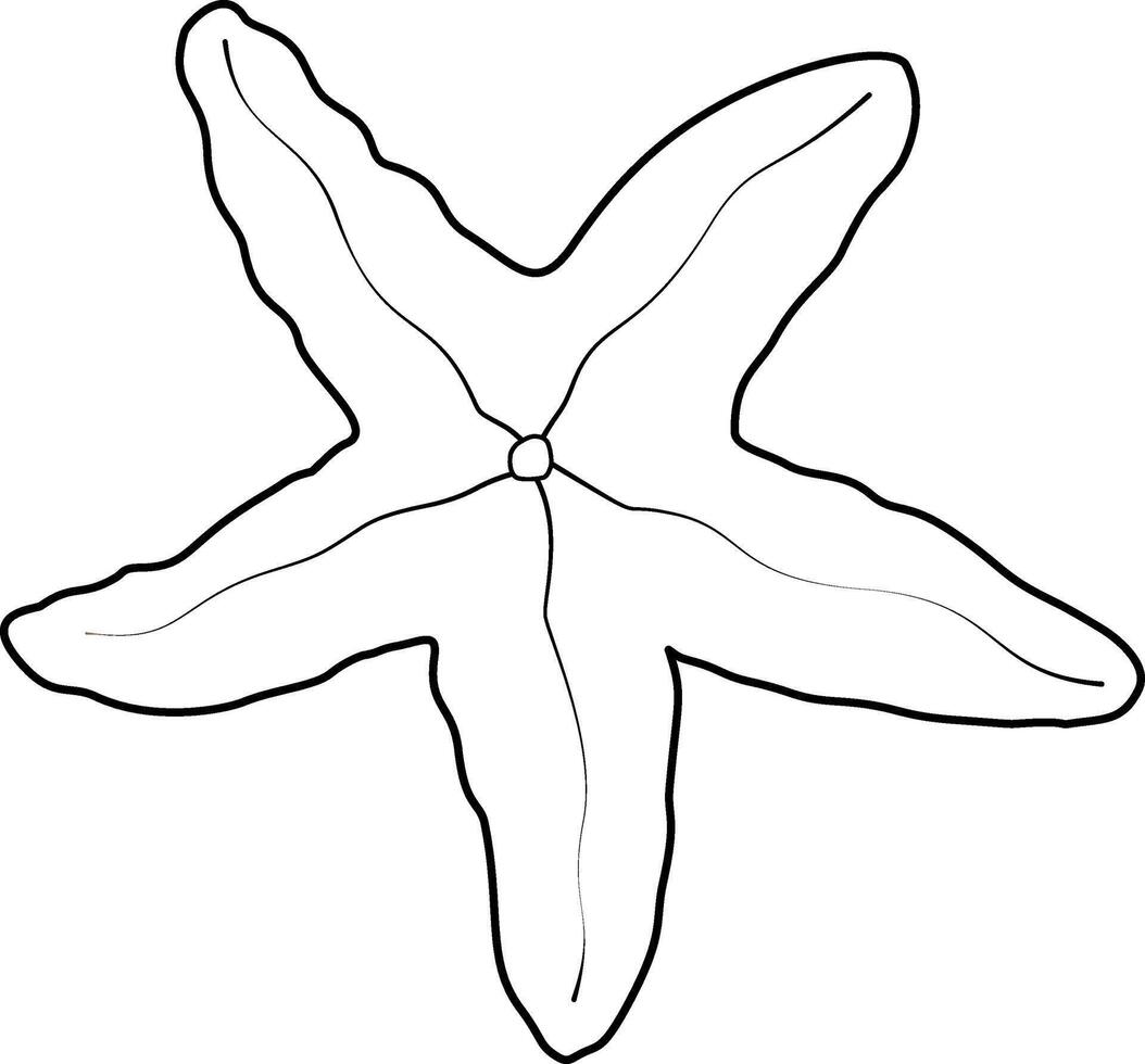 Outline illustration of a starfish vector