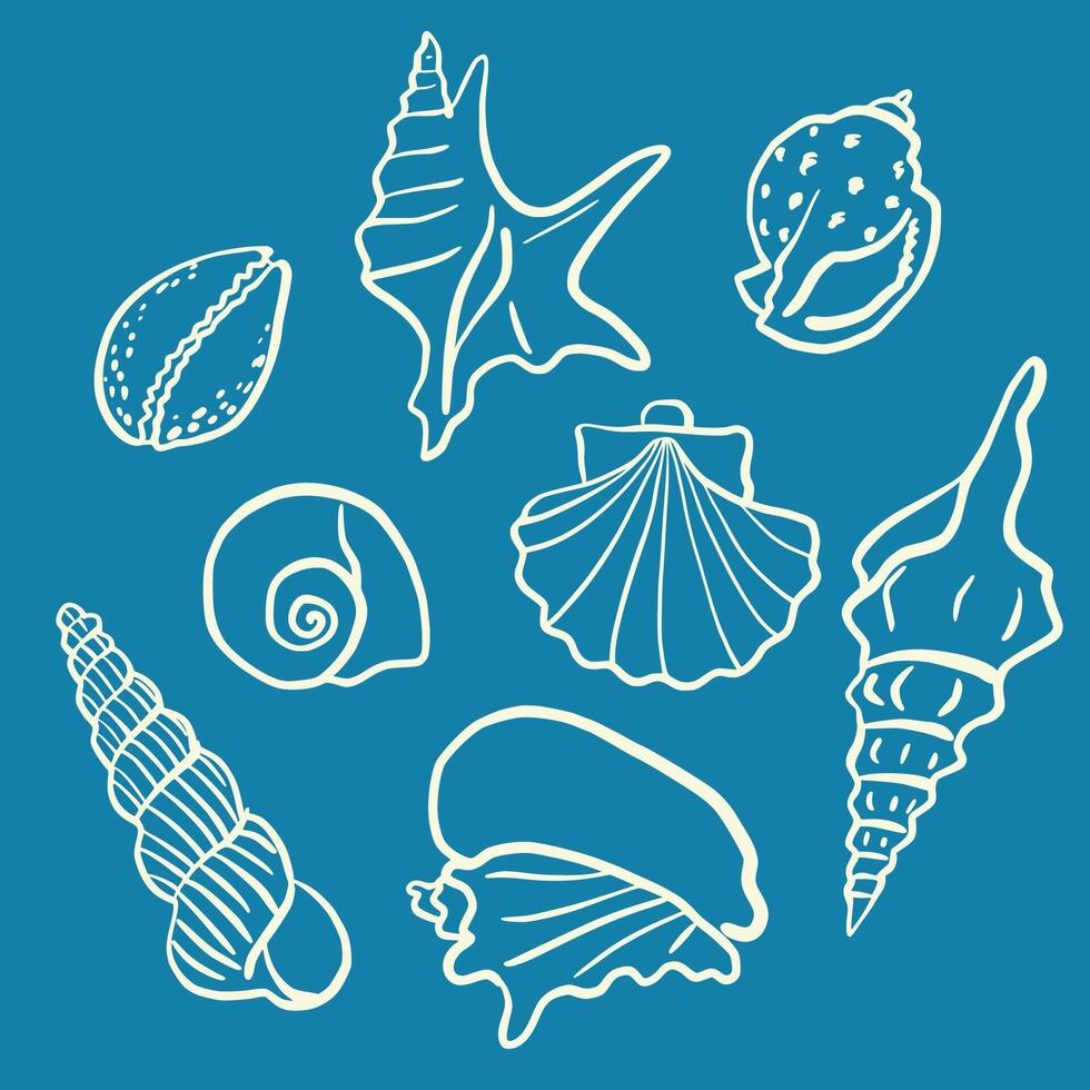 Hand drawn ink seashell illustrations. Various shell types in a minimalistic line art style. Summer, vacation, ocean, beach concept. Design elements for trendy prints, label, menu cover. vector