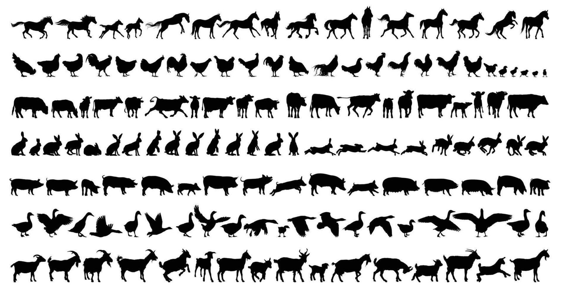 Big set of silhouettes of farm animals. vector