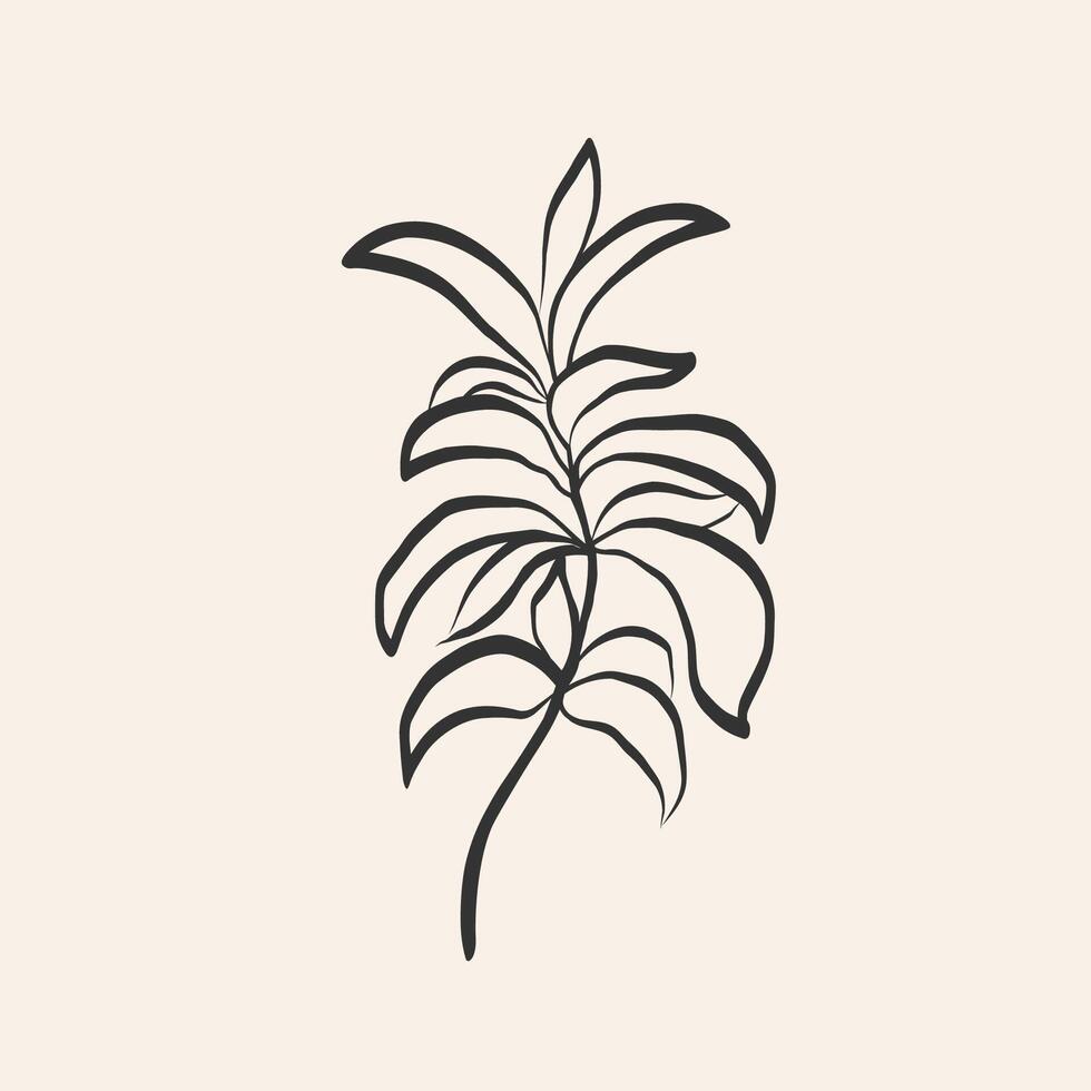 Sketch leafs Stevia plant on isolated background. Hand drawn botanical illustration with branch of sugar plant for logo, sign, label, print, card, tattoo. Food ingredient, harvest, sweetener vector