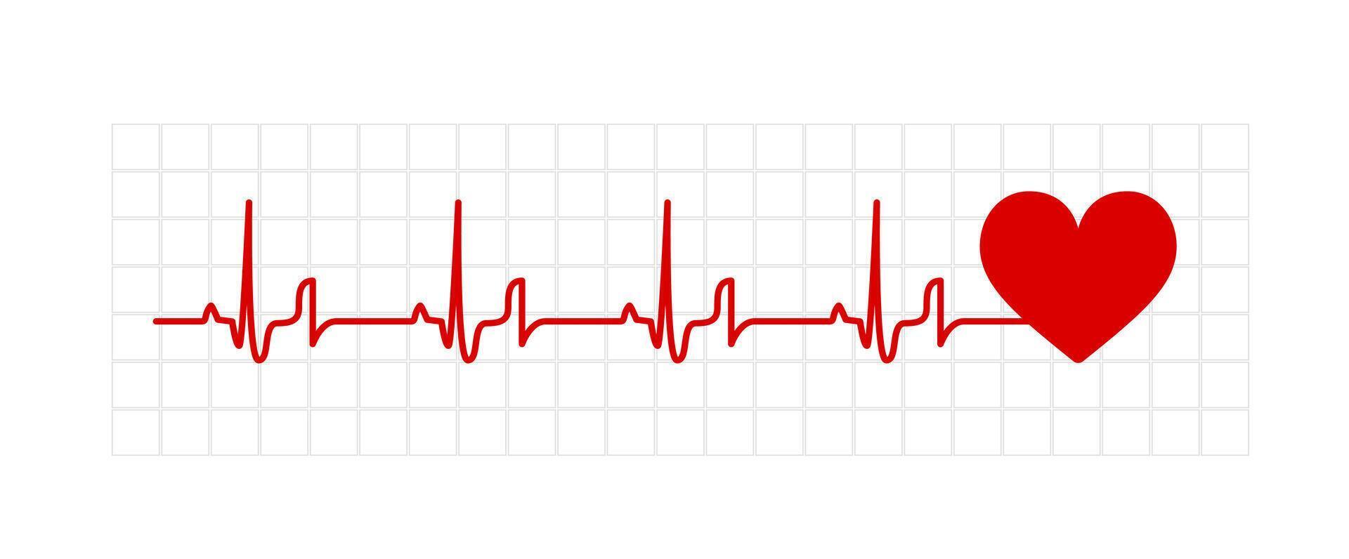 A heart beat is shown with a red heart vector