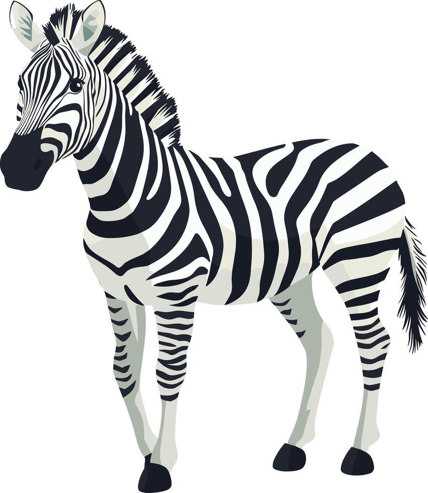 Cute zebra cartoon vector