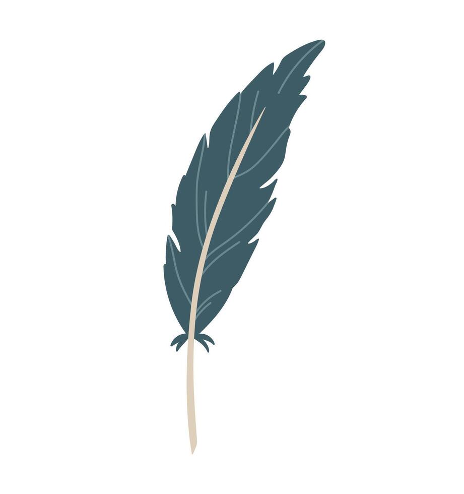 Bird's feather isolated on a white background. hand-drawn illustration in flat style. Perfect for decorations, logo, various designs. vector
