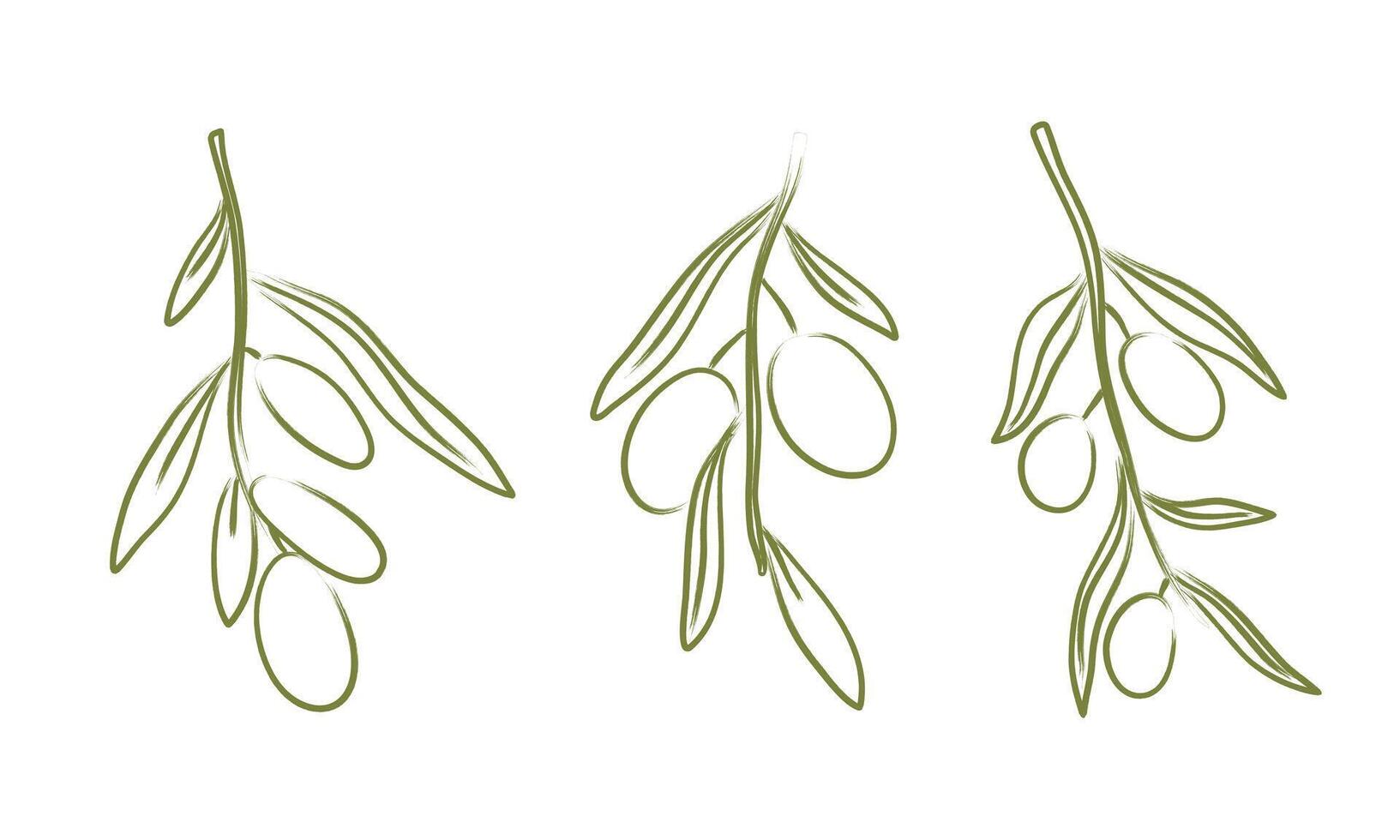 Hand drawn olive tree branch set. Chalk charcoal olives. Minimal pencil brush for sketch, ink art, menu, tattoo, poster. Isolated doodle illustration. vector