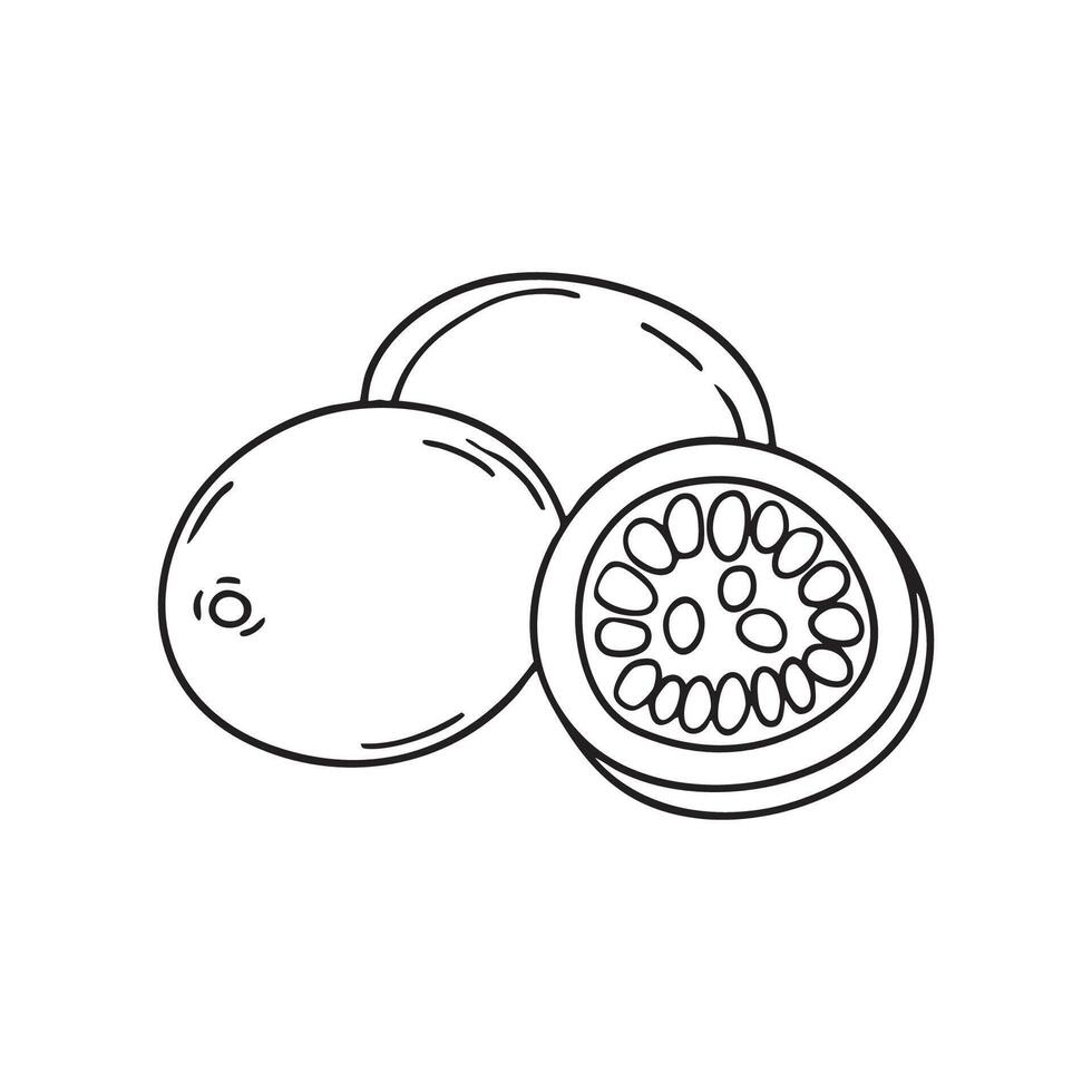 sliced passionfruit revealing its juicy seeds vector