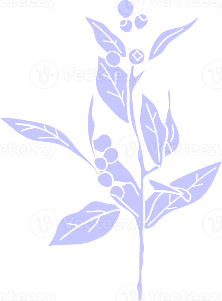 Illustration of a Leafy Plant with Berries png