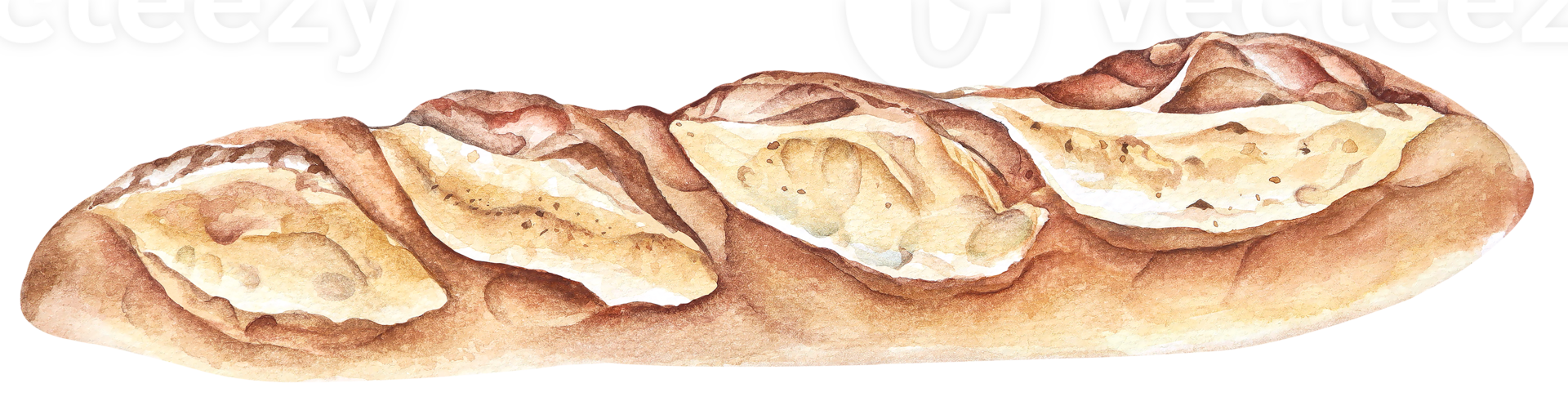 Baguette painted with watercolor.French bread.Bakery for design menu cafe.Baked bread. png