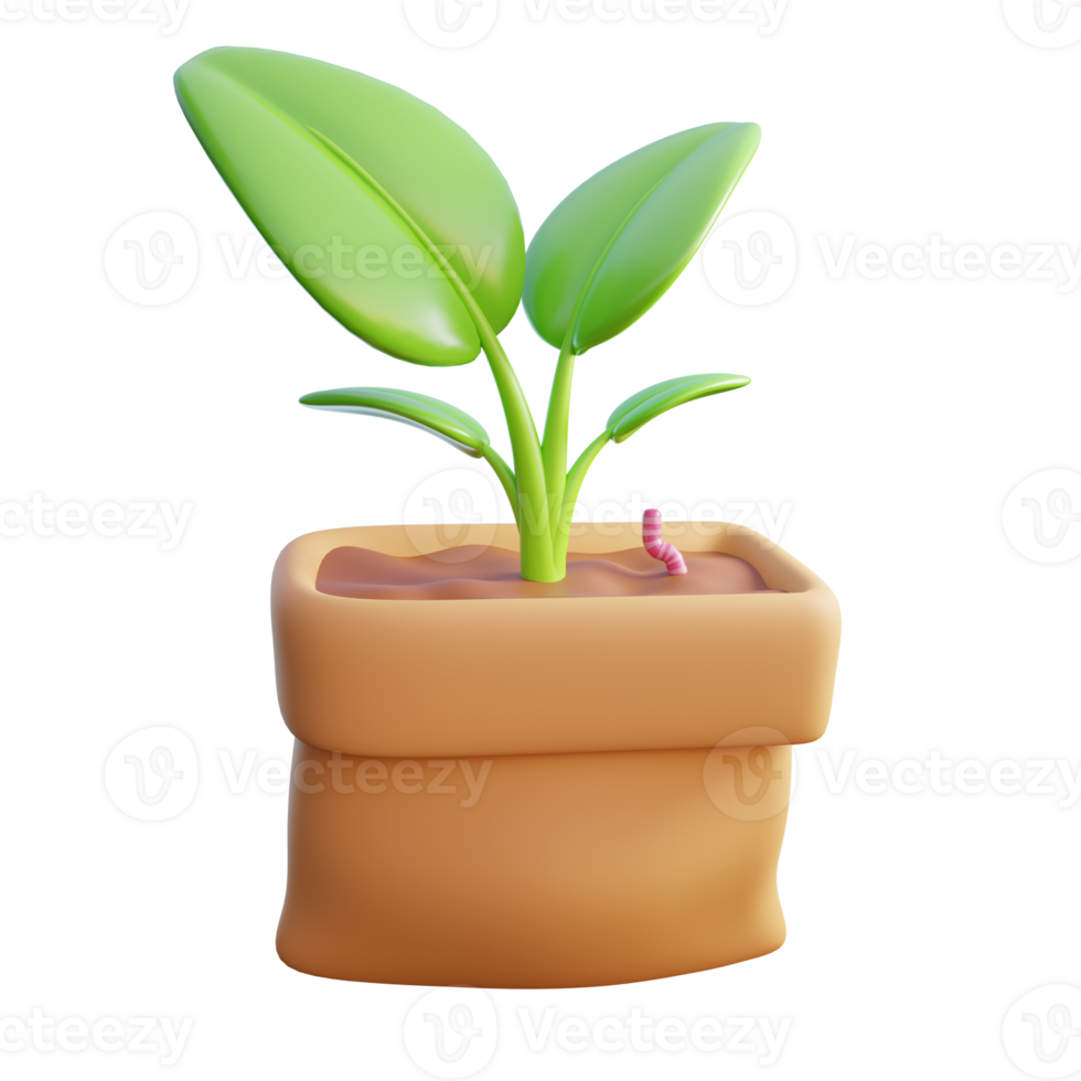 plant in a pot on a transparent background png
