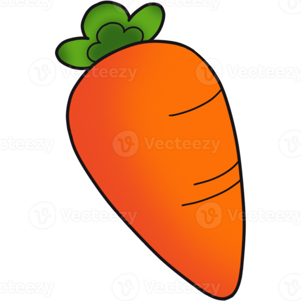 The illustration of a carrot png