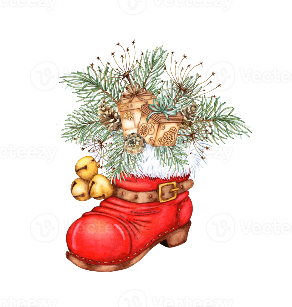 Red Santa shoe, with fir branches, grass, pine cones, gifts, watercolor illustration, isolated from background. symbol Christmas holiday, traditional element New Year's costume Santa Claus. png