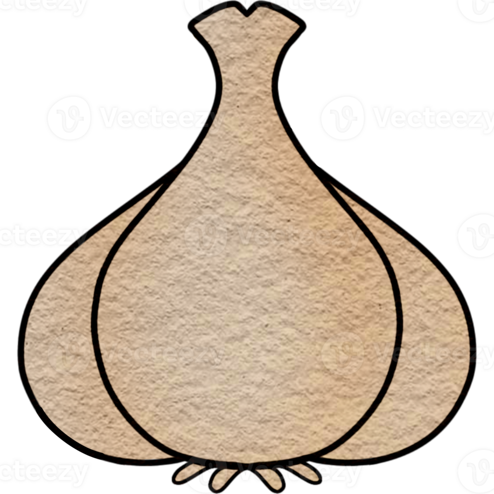 a garlic bulb on a white background png