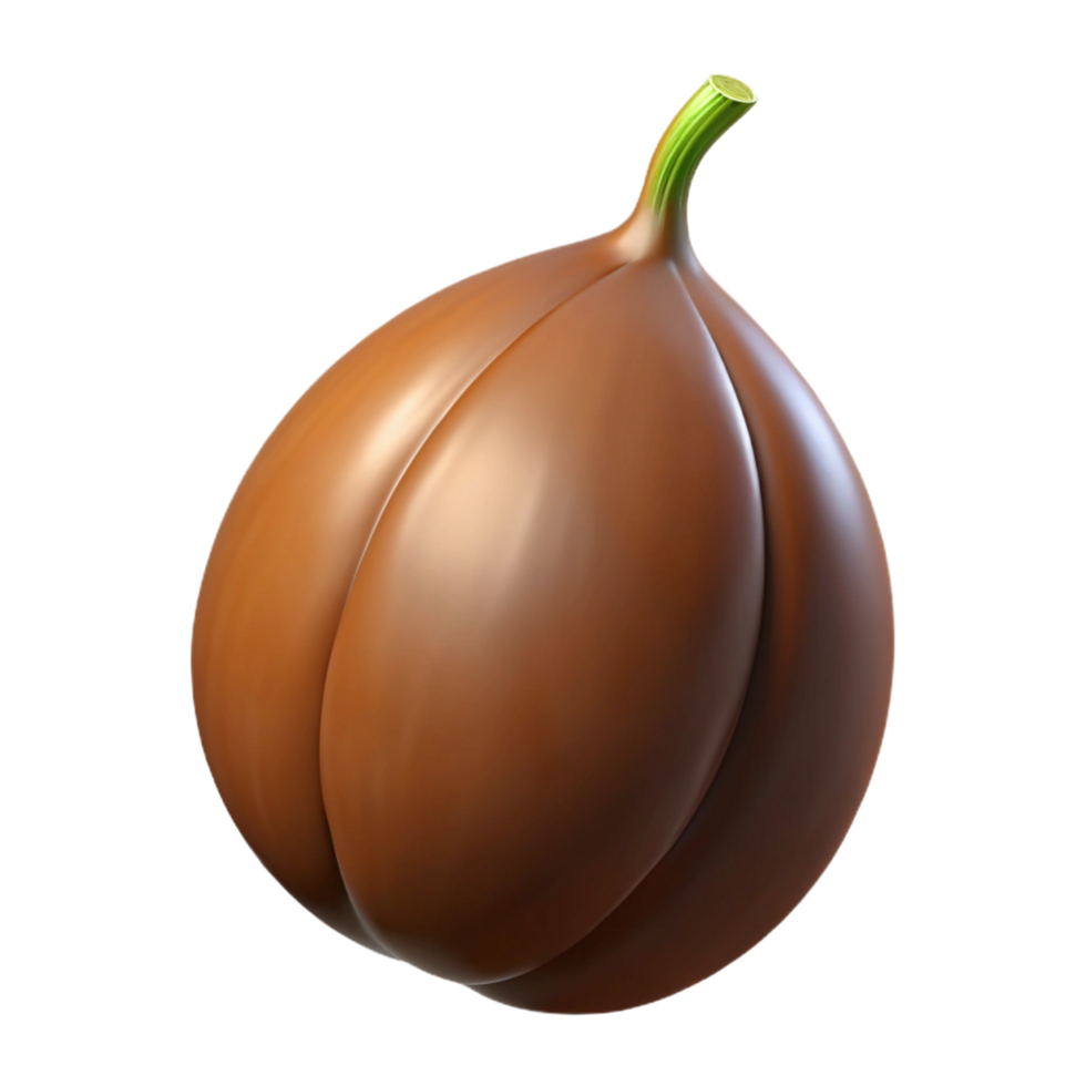 serene modern Brown seed pod high resolution png