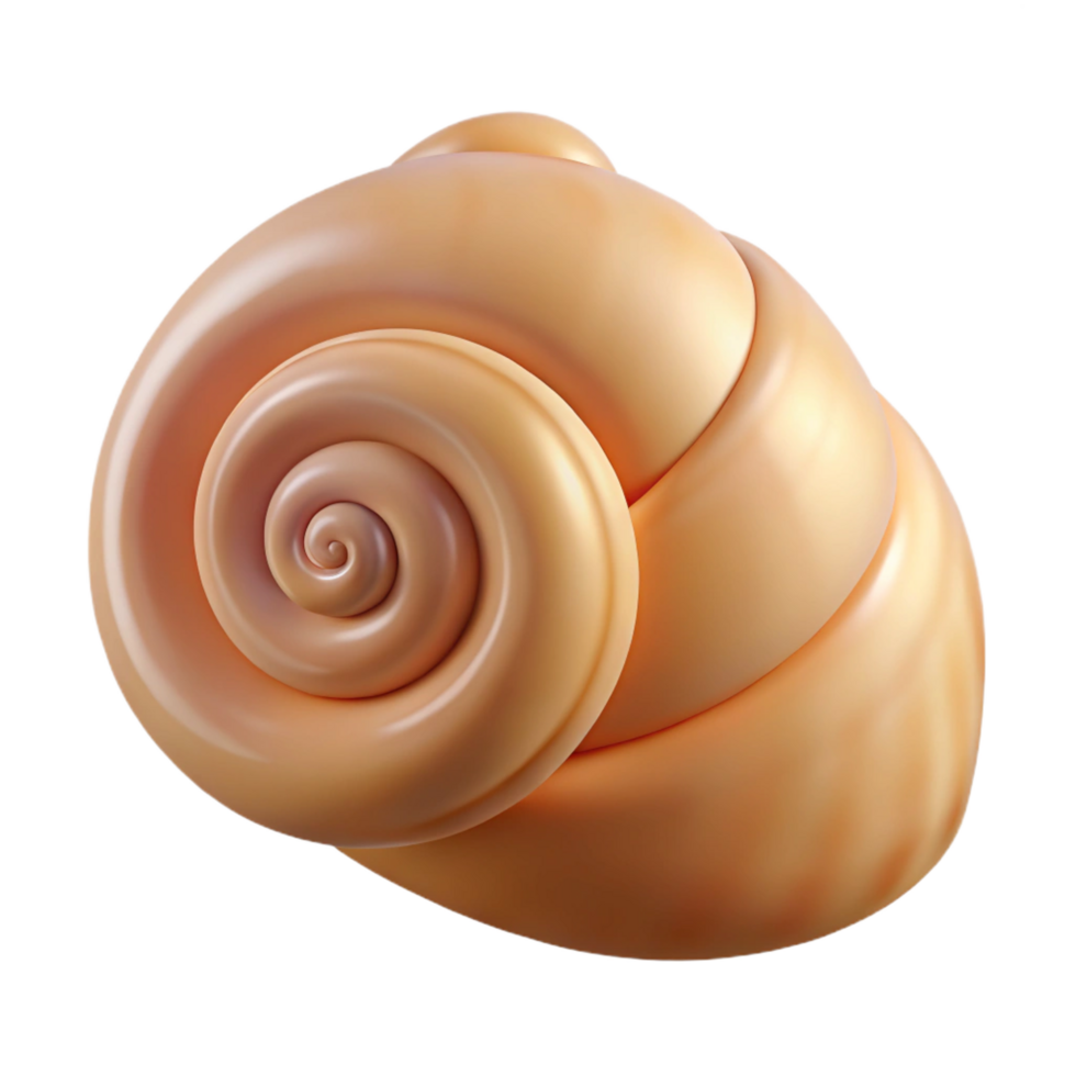 magnificent vintage Single seashell, spiral shape high quality png