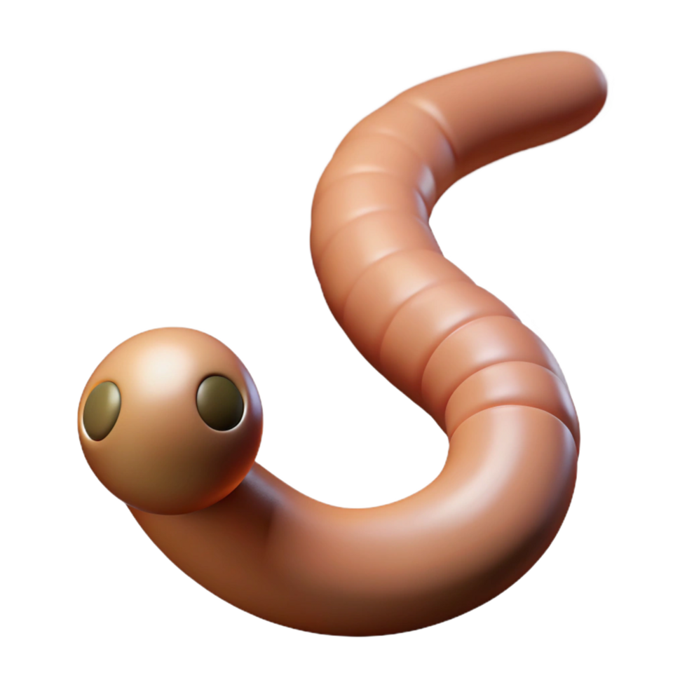 impressive traditional Earthworm authentic png