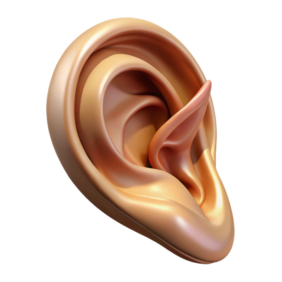 wonderful contemporary A highly detailed illustration of a single elven ear, pointed and elegant, high quality png