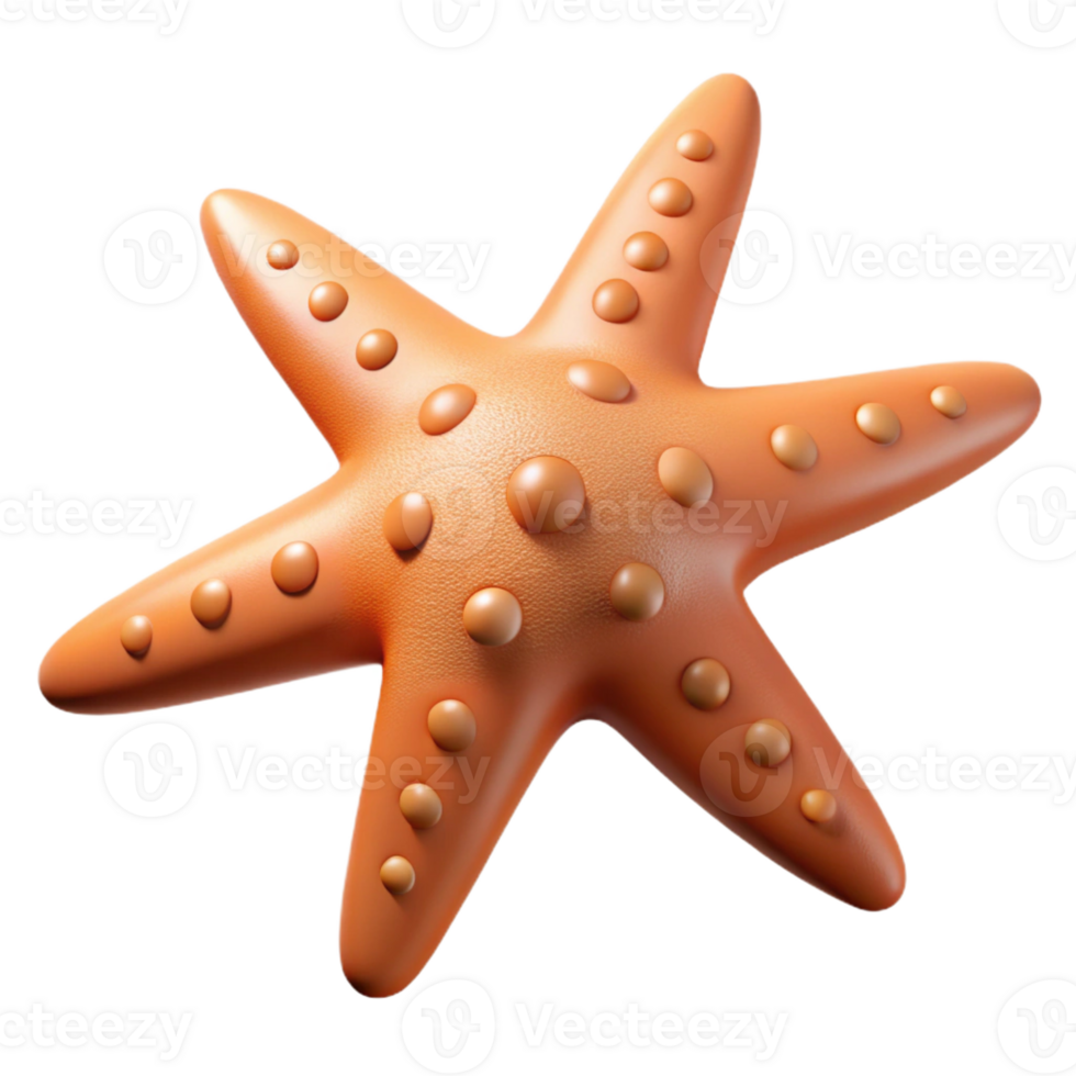 wonderful modern A starfish with five arms professional png