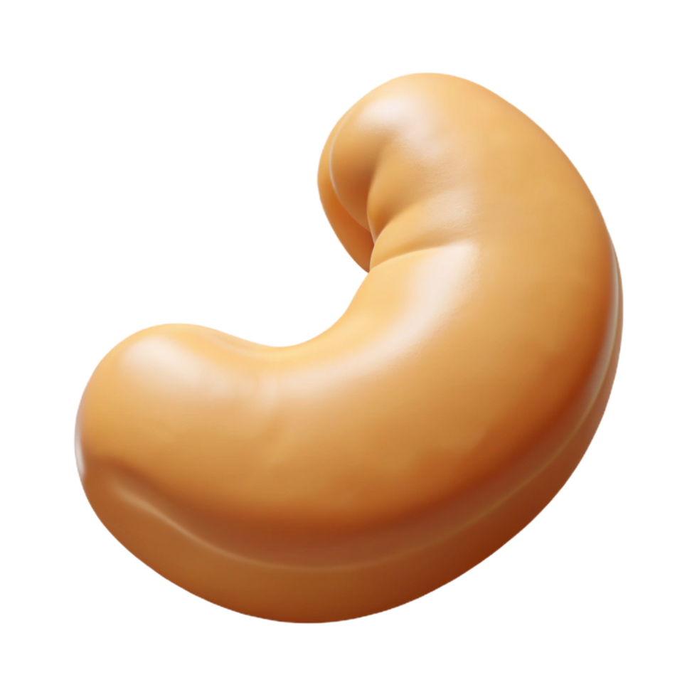 beautiful contemporary Single raw cashew nut original png