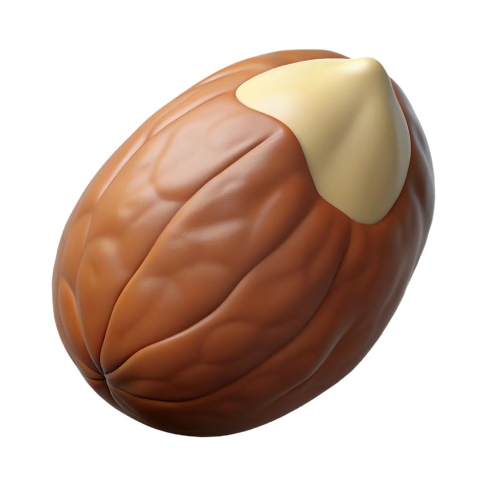 dramatic abstract Brazil nut whole premium png