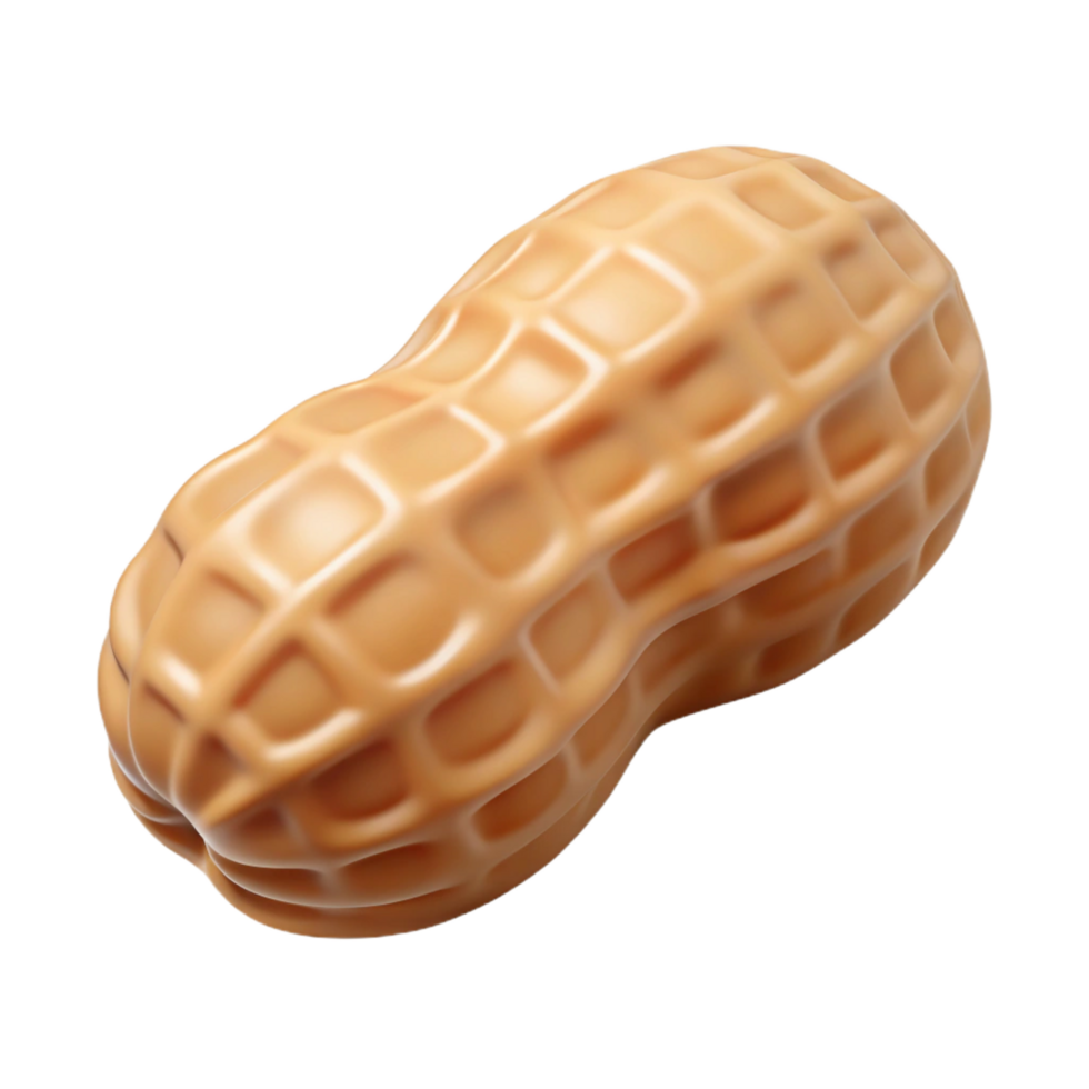 magnificent vintage Single raw peanut in shell genuine png