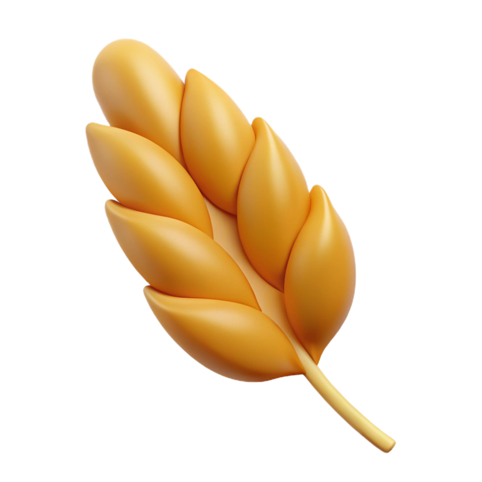 stunning abstract Single grain of wheat authentic png