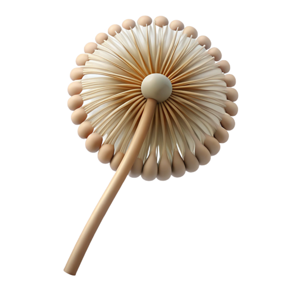 beautiful abstract Single dandelion seedhead high resolution png