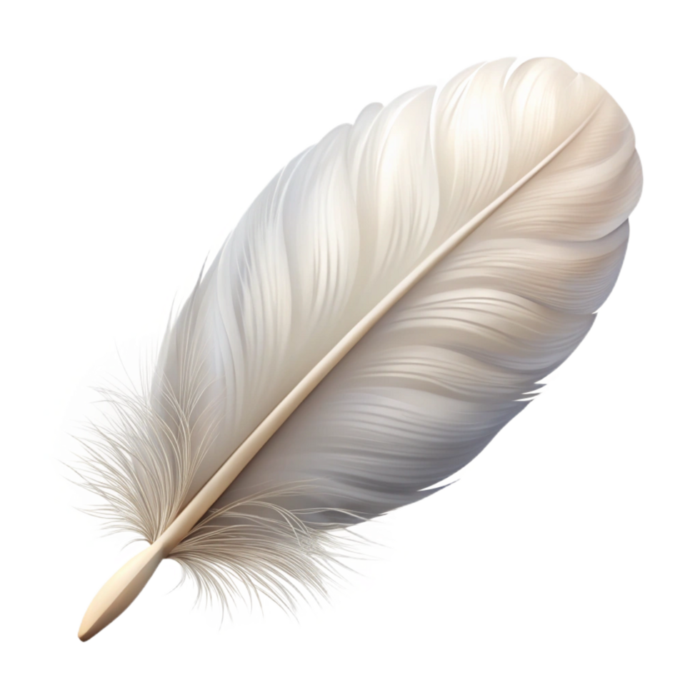 elegant creative Single feather white and fluffy high quality png