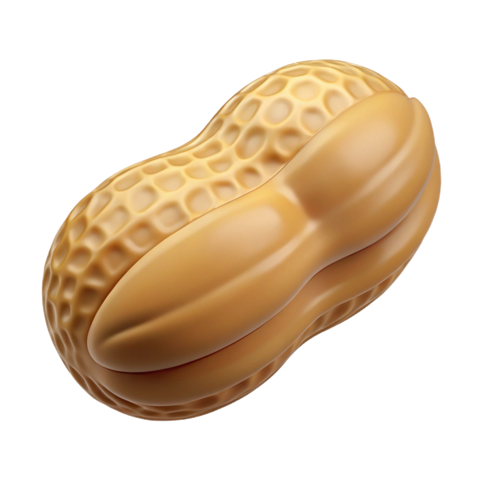 impressive minimalist Single peanut in shell high quality png