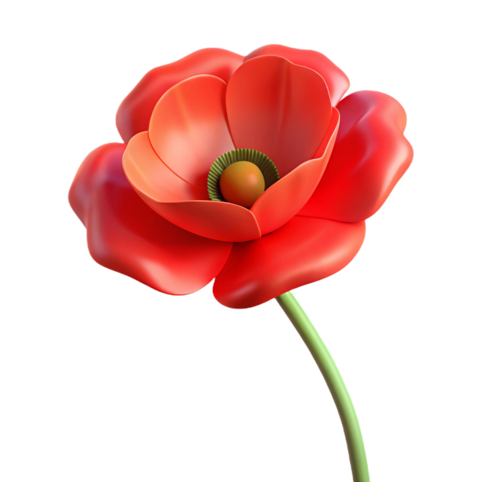 impressive traditional Single poppy flower red petals 4K png