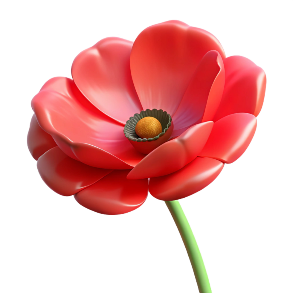 wonderful artistic Single poppy flower red petals high resolution png