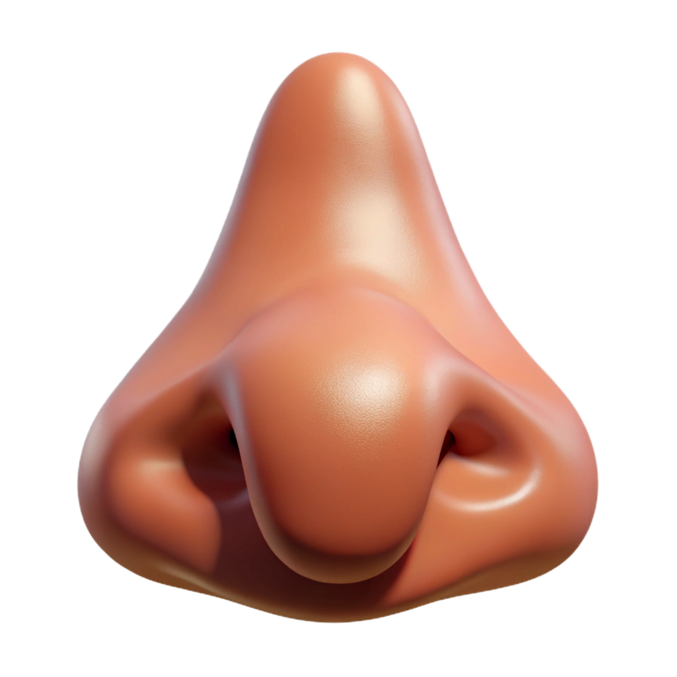 beautiful abstract Close-up of human nose, genuine png